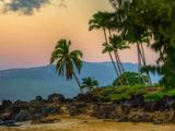 A Year After the Devastating Fire, Maui Tourism Is Still Struggling