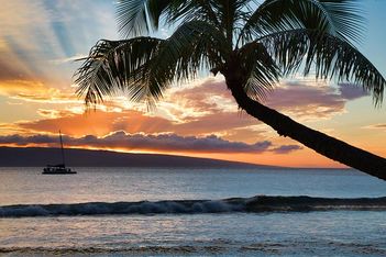 Maui Beckons Tourists to Stave Off Economic Disaster