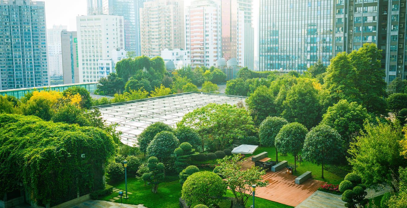 Buildings with trees Better Meetings Better Future