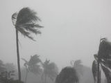 Rare Tropical Storm Causes Havoc in California and Southwest