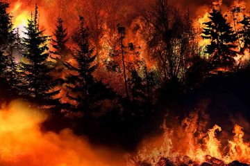 New AI Solutions Are Coming to Fight the Threat of Wildfires