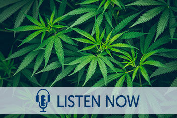 Why Meeting Planners Should Care About Cannabis