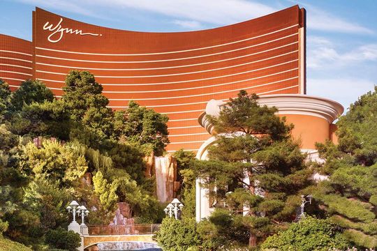 Wynn replacement img