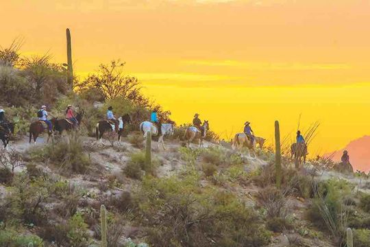Tucson head 2