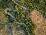 The Driving Force of Catalonia, Spain