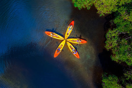 Fort Myers Islands Beaches and Neighborhoods new kayak lead
