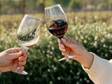 Boutique Meetings Are Better in Healdsburg, Calif.