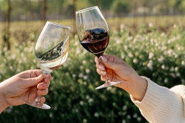 Boutique Meetings Are Better in Healdsburg, Calif.