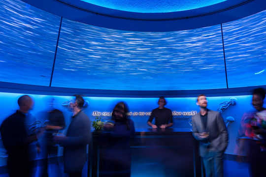 Partner Spotlight: Monterey Bay Aquarium