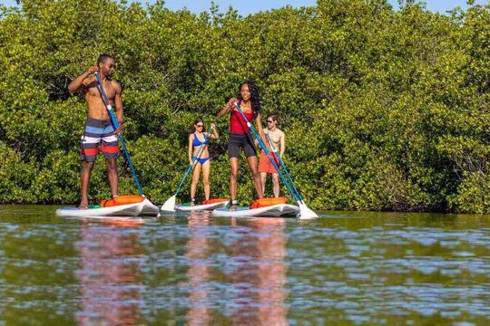 Punta Gorda recropped