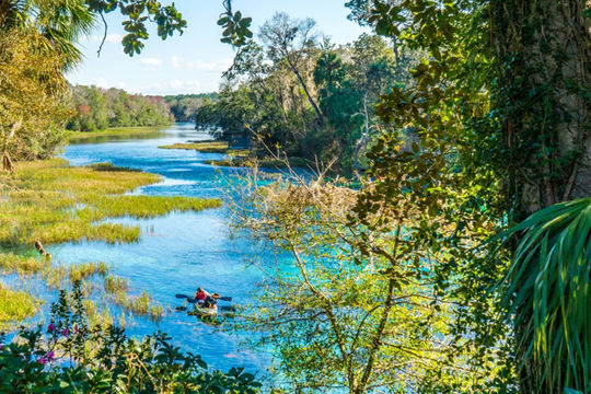 Florida Ocala Marion County lead