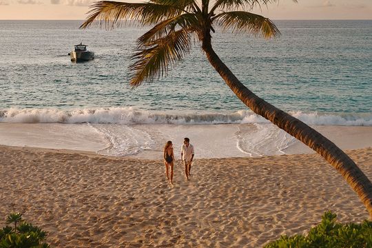 Partner Spotlight: INCENTIVE The Cove
