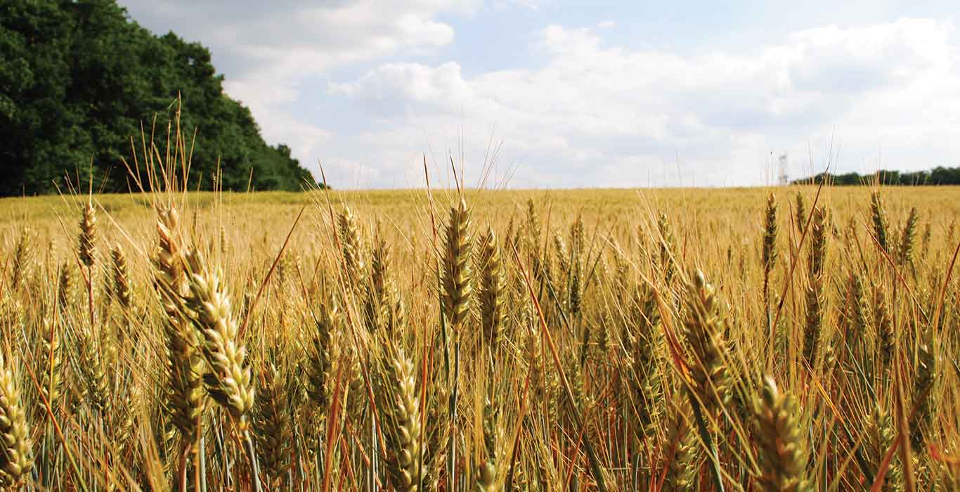 Canada’s Agribusiness Event Hubs