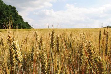 Canada’s Agribusiness Event Hubs Canada’s Agribusiness Event Hubs