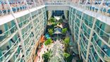 Royal Caribbean Video spot img