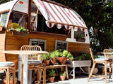 Ecofriendly Food Hotels Earth Day