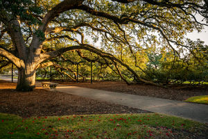 College Station, Texas, to Host  Northstar's Destination Southwest