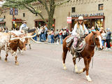 Solid Connections Forged During Destination Texas