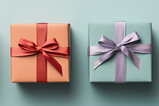 Ultimate Gift Guide 2025