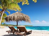 Two Incentive Studies Reveal Current Travel Trends