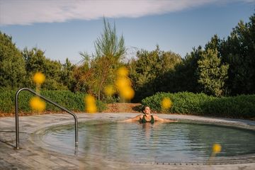 Wellness That Works: Elevating Incentives Through Experience