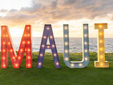 How Meeting Planners Can Support Maui’s Recovery