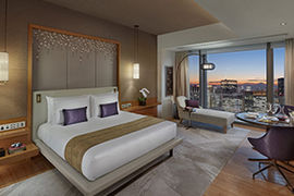5 Incentive-Quality Properties in Japan
