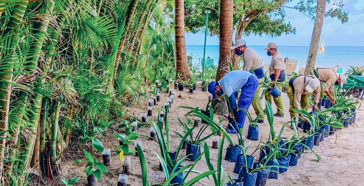 Stella Awards 2024 Best Sustainability Initiative Northstar Meetings