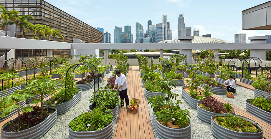 Stella Awards Best Sustainability 2023 