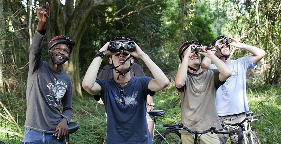 bird watching South Africa bird watching South Africa