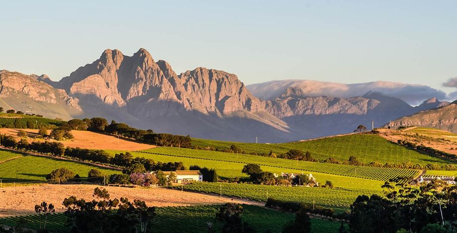 wine country South Africa