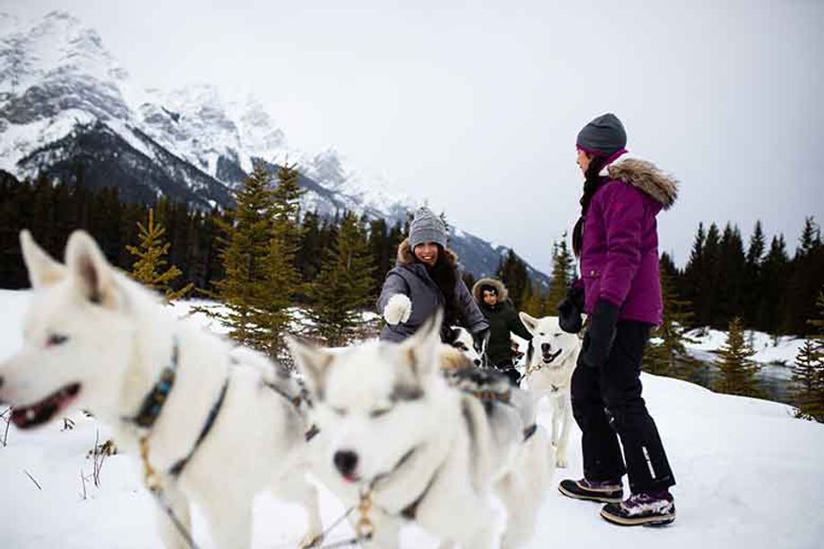 During all seasons, incentive groups can take part in dogsledding activities throughout Banff.