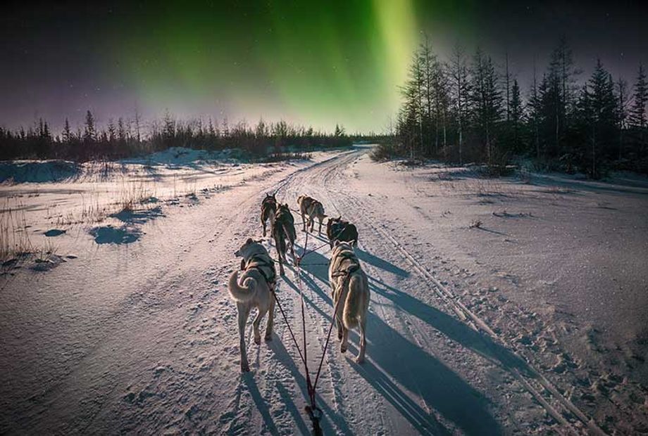A guided dogsledding trek beneath the Northern Lights is a memorable way for groups to explore the Northwest Territories.