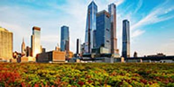 New York City