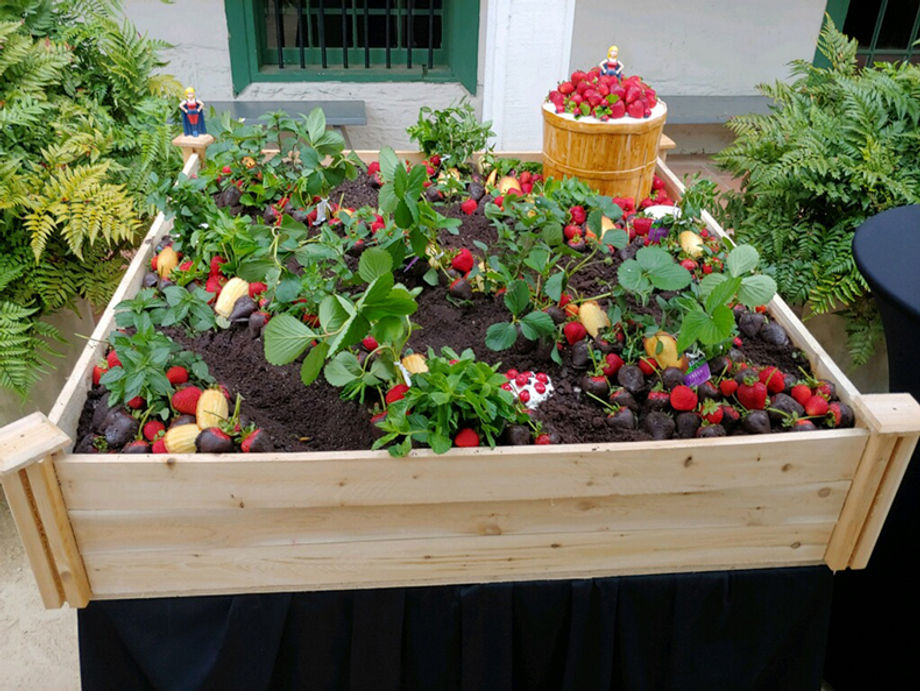 portola edible soil