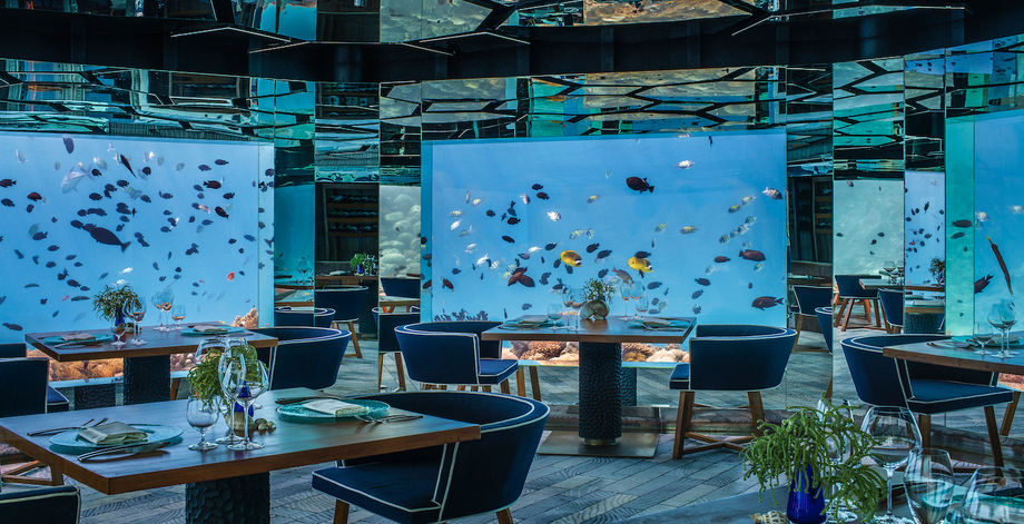 meetings-with-water-views