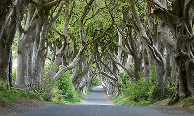 BUCKET-list-Dark-Hedges-ireland