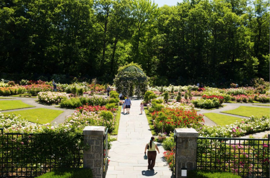 new-york-botanical-garden