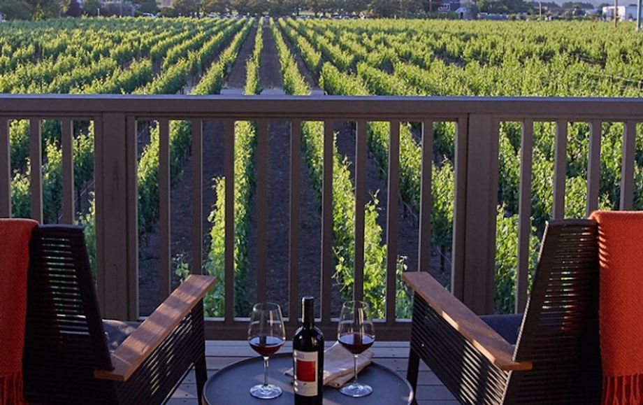 Each guest room at the Senza Hotel features vineyard views.