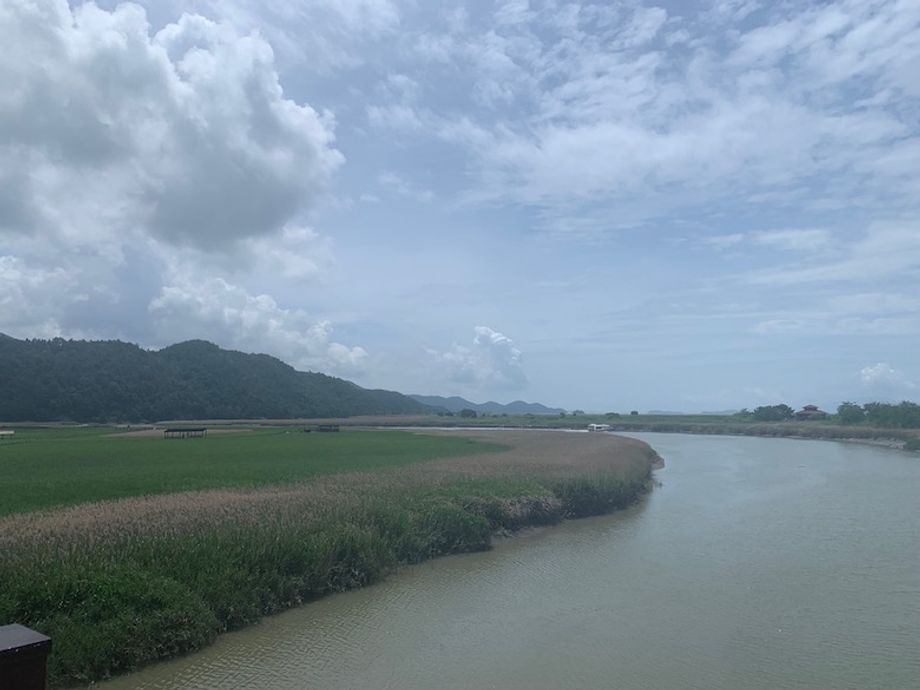 Suncheonman-Bay-Nature-Reserve Suncheonman-Bay-Nature-Reserve