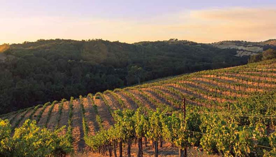 Allegretto Vineyard Resort, in Paso Robles, Calif. and a member of Teneo Hospitality Group, proved an ideal solution for a group seeking a Napa experience without the prohibitive price.