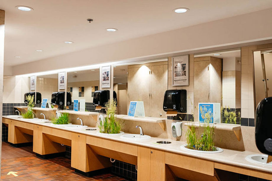 To remind visitors to maintain space between each other in the rest rooms, the Tradex team planted grass in every other sink.