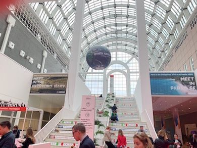 Imex photo