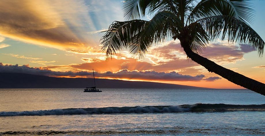 Photograph by Manuel for Adobe Stock