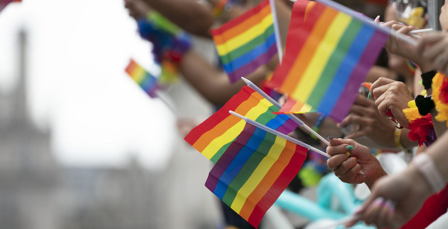 Pride Rainbow Flags Progress
