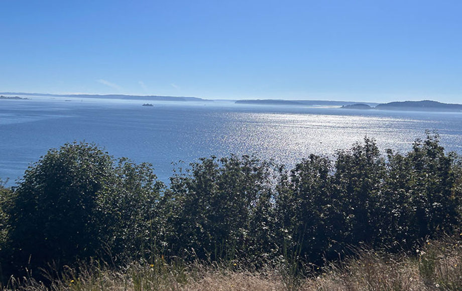 Seattle Discovery Park 2