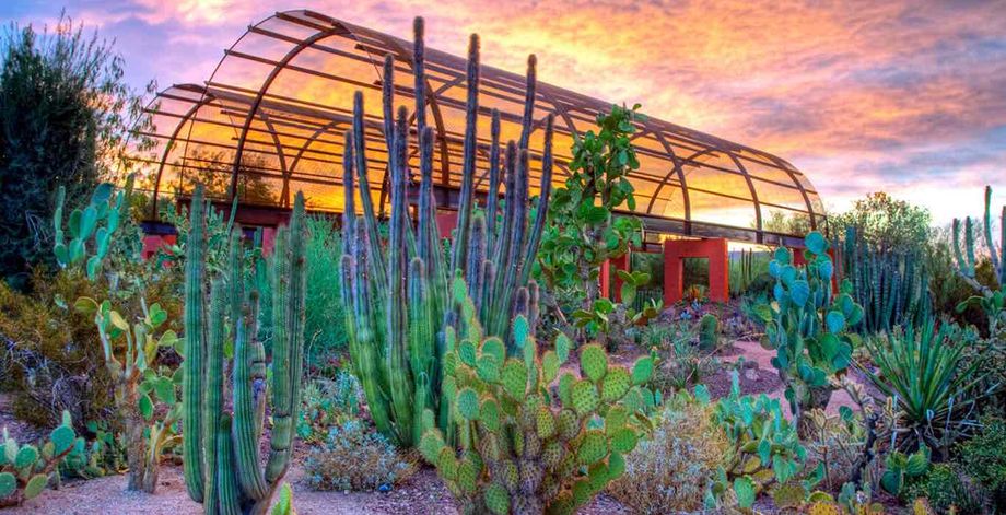 Phoenix 2021 Bot garden
