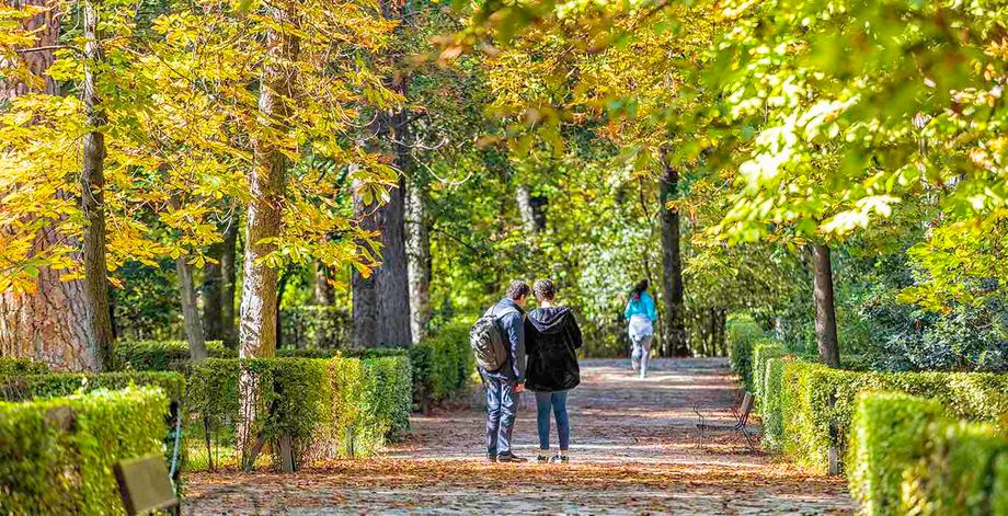 Madrid walking tour 1