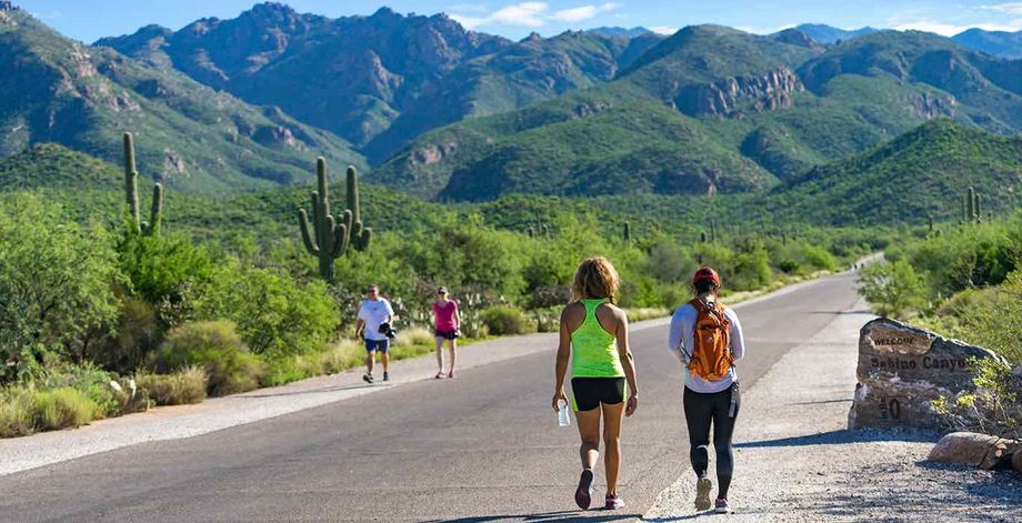 Tucson walkers