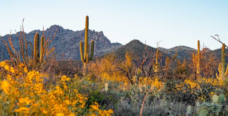 Tucson - Arizona's Oldest City